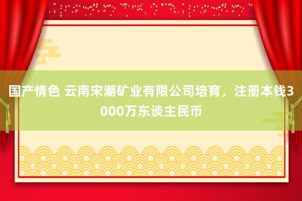 国产情色 云南宋潮矿业有限公司培育，注册本钱3000万东谈主民币