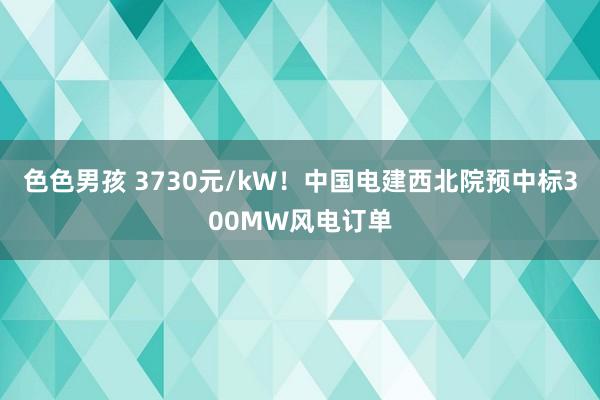 色色男孩 3730元/kW！中国电建西北院预中标300MW风电订单