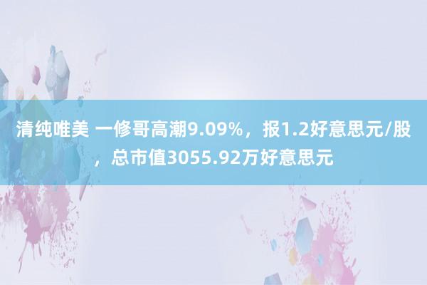 清纯唯美 一修哥高潮9.09%，报1.2好意思元/股，总市值3055.92万好意思元