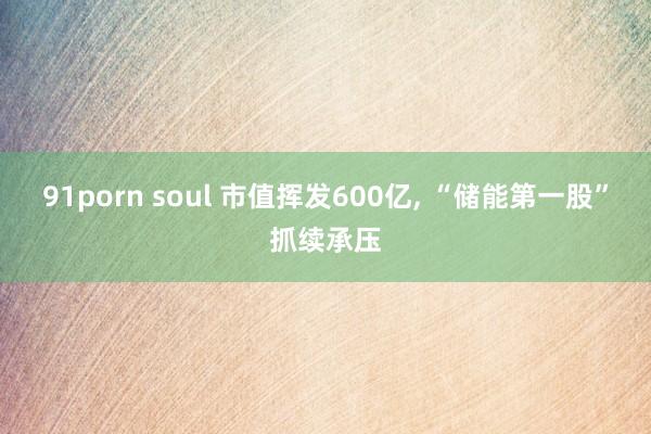 91porn soul 市值挥发600亿， “储能第一股”抓续承压