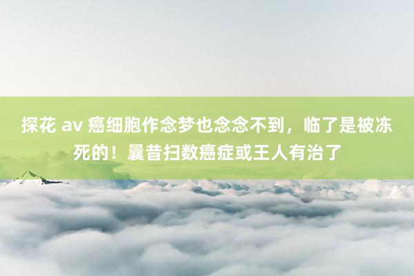 探花 av 癌细胞作念梦也念念不到，临了是被冻死的！曩昔扫数癌症或王人有治了